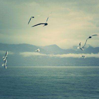 火狐体育APP下载截图